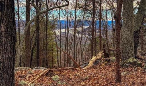 Photo #14 of 1026 Sierra Trace, Denton, NC 4.7 acres