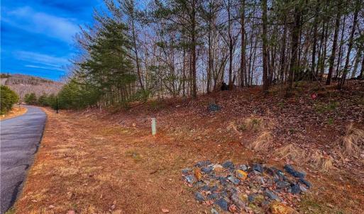 Photo #15 of 1026 Sierra Trace, Denton, NC 4.7 acres