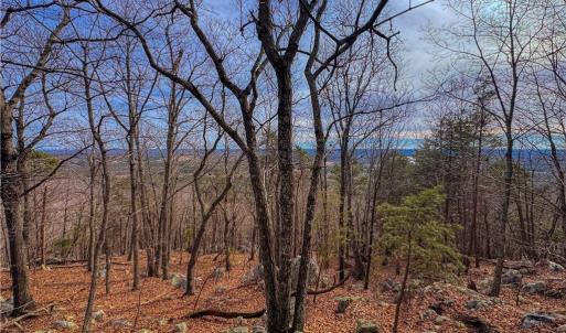 Photo #11 of 1026 Sierra Trace, Denton, NC 4.7 acres