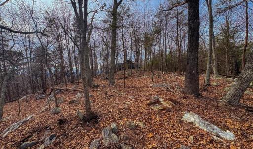 Photo #8 of 1026 Sierra Trace, Denton, NC 4.7 acres
