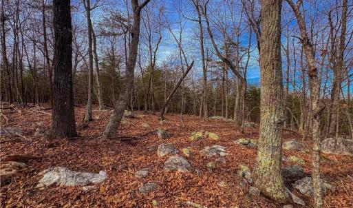 Photo #9 of 1026 Sierra Trace, Denton, NC 4.7 acres