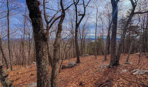 Photo #10 of 1026 Sierra Trace, Denton, NC 4.7 acres