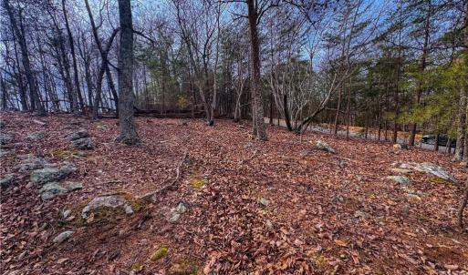 Photo #4 of 1026 Sierra Trace, Denton, NC 4.7 acres