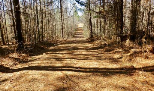 Farm road leading to fields 3-4