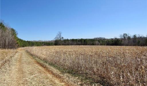 Field 4 and farm road leading to dear blind and access to Haw River