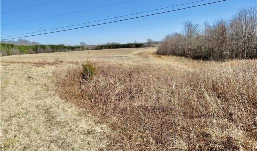 Field 2 at the front right property corner