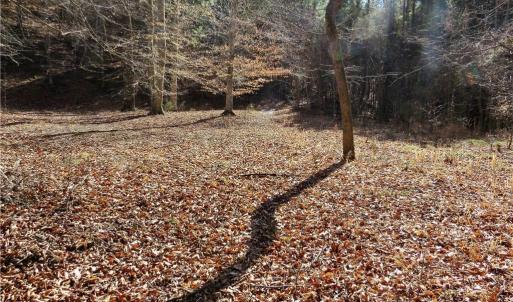 Area near the Haw River