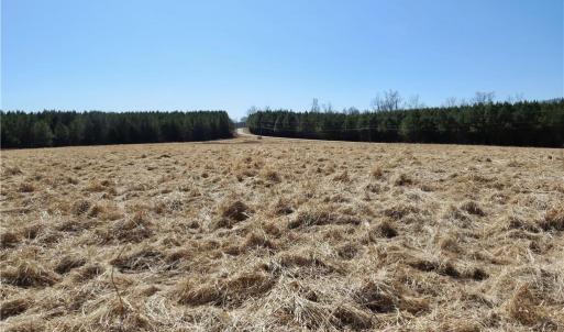 Field 1 additional view