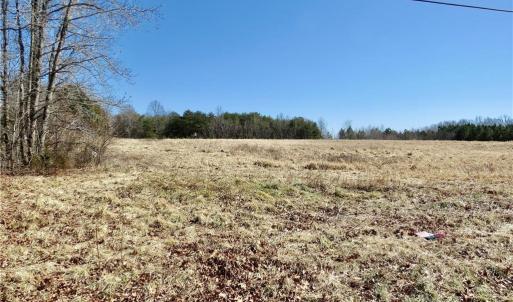 Field 1 and the front left corner of the property