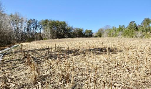 Field 3 additional view