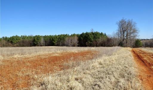 Field 2 at the rear of the field