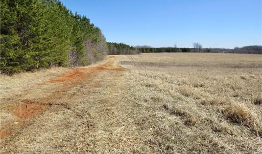 From Haw road at the beginning of field 2 and old farm road for access