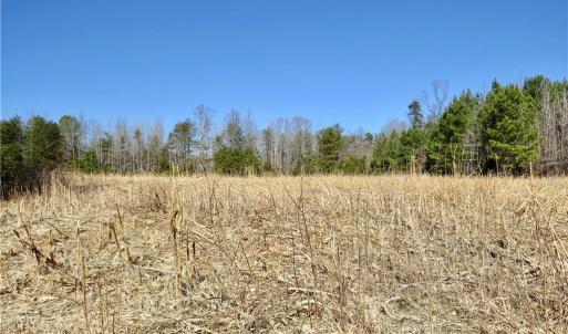 Field 4 on the left side of the property