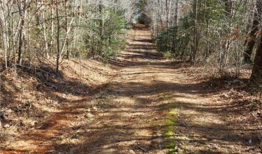 Farm road between fields 3-4