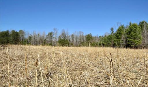 Additional view of field 4