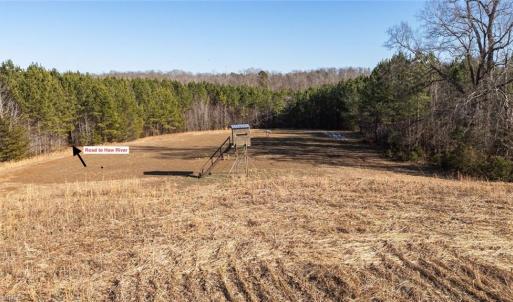 Additional view of field 4 and the old farm road leading to Haw River