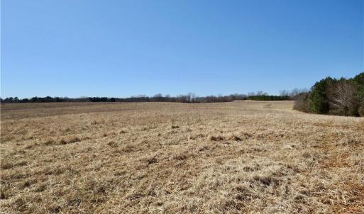 Field 2 from rear looking toward Haw road