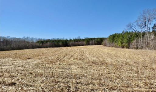 Field 1 additional view