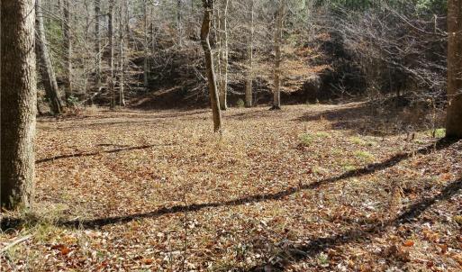 Area adjoining the Haw river at rear of property