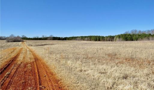 Field 2 view from rear property line toward Haw road and a view of the farm road for access