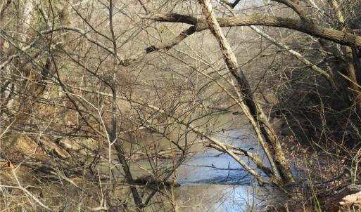 Haw River and back left property line