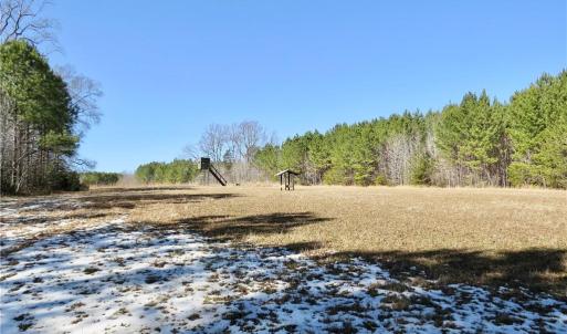 Field 4 with Dear Blind