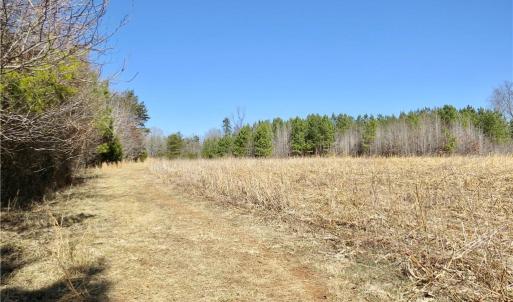 Field 4 additional view