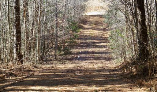 farm road from field 4 to field 3
