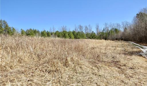 Field 3 additional view and farm road around the edge of field