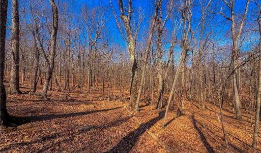 Photo #13 of 863 Sierra Trace, Denton, NC 1.6 acres