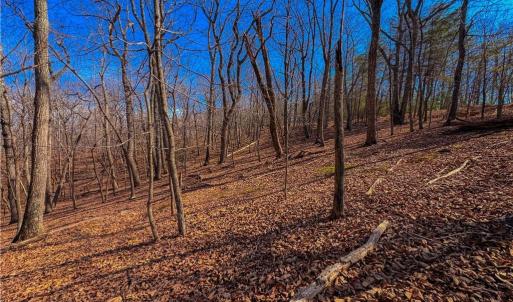 Photo #12 of 863 Sierra Trace, Denton, NC 1.6 acres