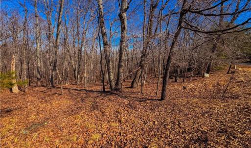 Photo #7 of 863 Sierra Trace, Denton, NC 1.6 acres