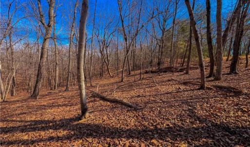 Photo #9 of 863 Sierra Trace, Denton, NC 1.6 acres