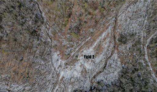 Photo #20 of Willard Creek, Stuart, VA 96.0 acres