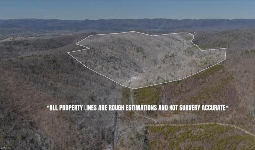 Photo #14 of Willard Creek, Stuart, VA 96.0 acres