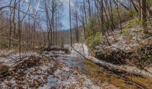 Photo #11 of Willard Creek, Stuart, VA 96.0 acres
