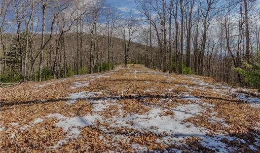 Photo #8 of Willard Creek, Stuart, VA 96.0 acres