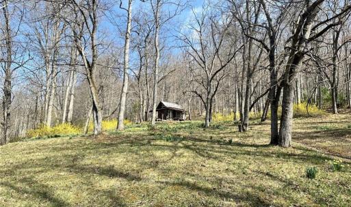 Photo #6 of Willard Creek, Stuart, VA 96.0 acres