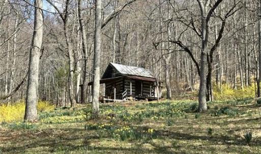 Photo #5 of Willard Creek, Stuart, VA 96.0 acres