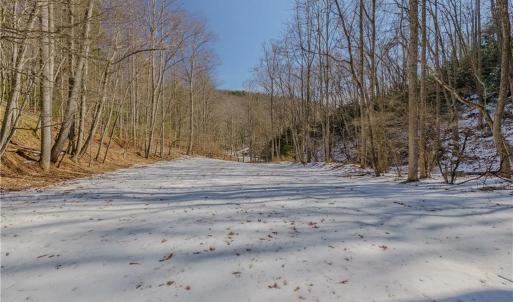 Photo #15 of Willard Creek, Stuart, VA 96.0 acres