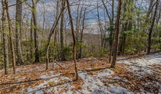 Photo #21 of Willard Creek, Stuart, VA 96.0 acres