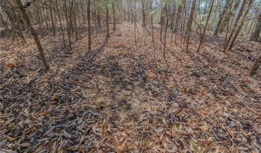 Photo #22 of Willard Creek, Stuart, VA 96.0 acres