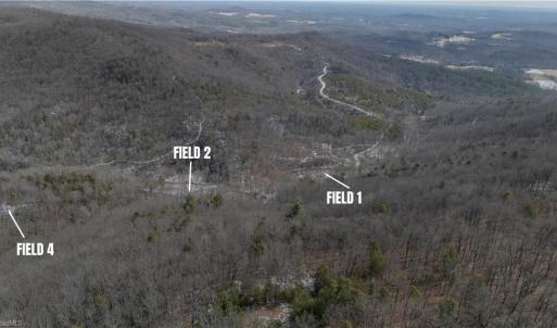 Photo #24 of Willard Creek, Stuart, VA 96.0 acres