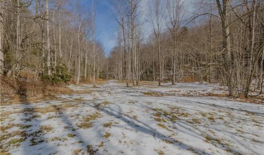 Photo #14 of Willard Creek, Stuart, VA 96.0 acres