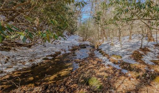 Photo #18 of Willard Creek, Stuart, VA 96.0 acres