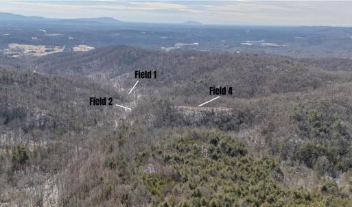 Photo #27 of Willard Creek, Stuart, VA 96.0 acres