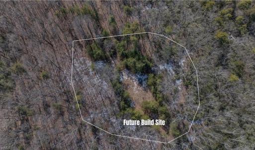 Photo #30 of Willard Creek, Stuart, VA 96.0 acres