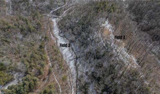 Photo #25 of Willard Creek, Stuart, VA 96.0 acres