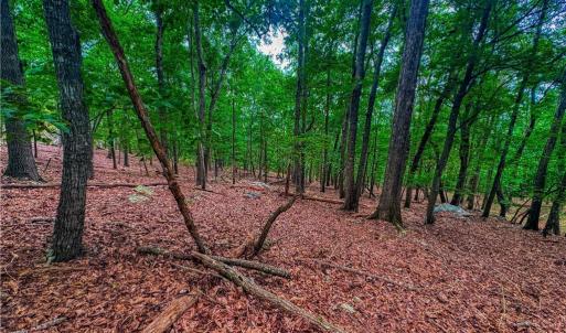 Photo #13 of 1996 Sierra Trace, Denton, NC 4.1 acres