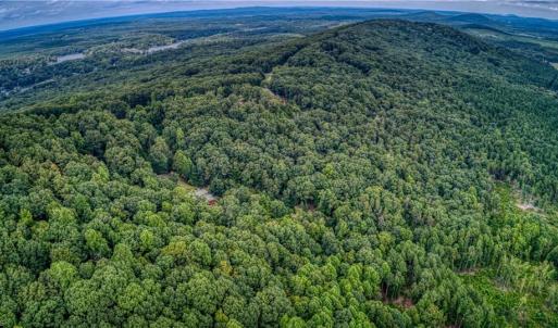 Photo #7 of 1996 Sierra Trace, Denton, NC 4.1 acres